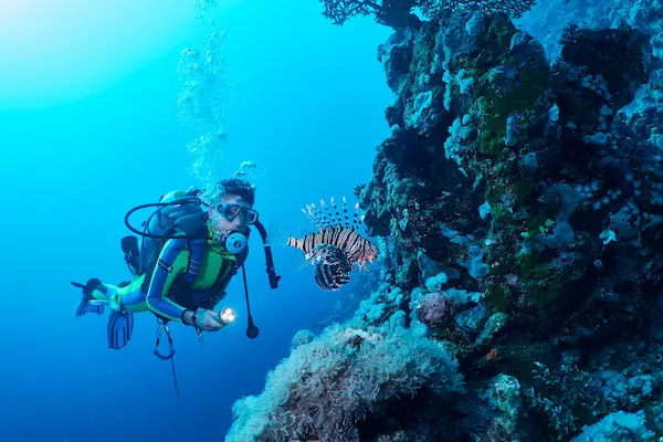 Diving Regulator: Why It is a Key Element of Scuba Gear